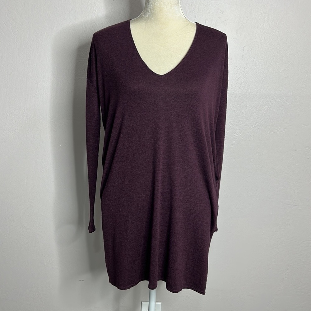 Aritzia • wilfred free mini tunic dress